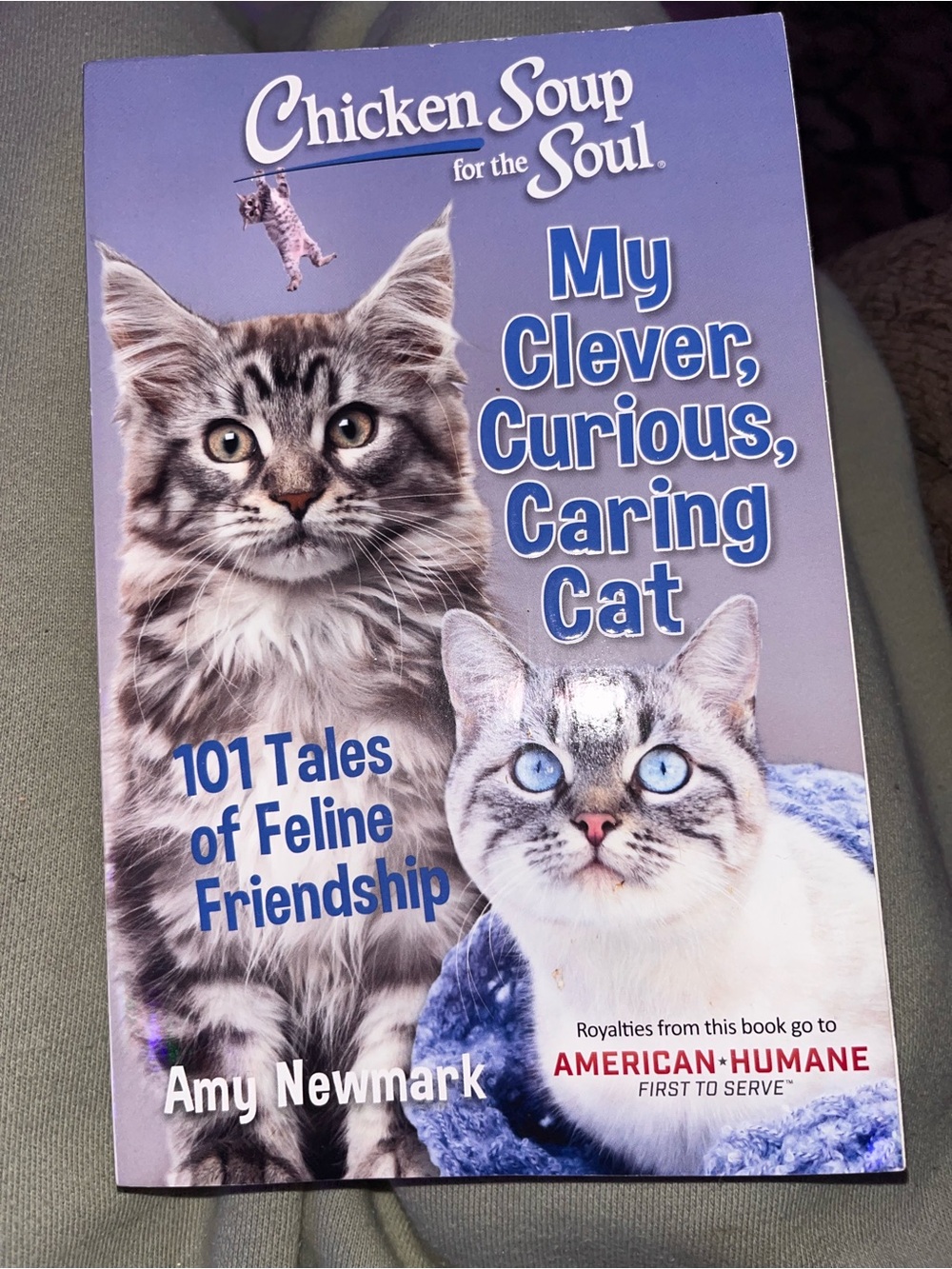 : My Clever, Curious, Caring Cat - Purple Cover